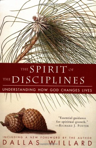 The spirit of discipline - rhegan post