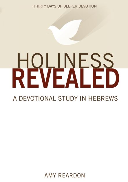 holiness revealed amy