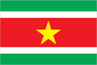 Suriname flag